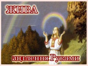 Жива